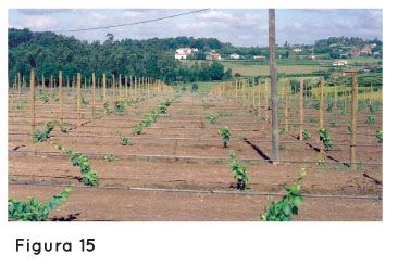 p78 fig9